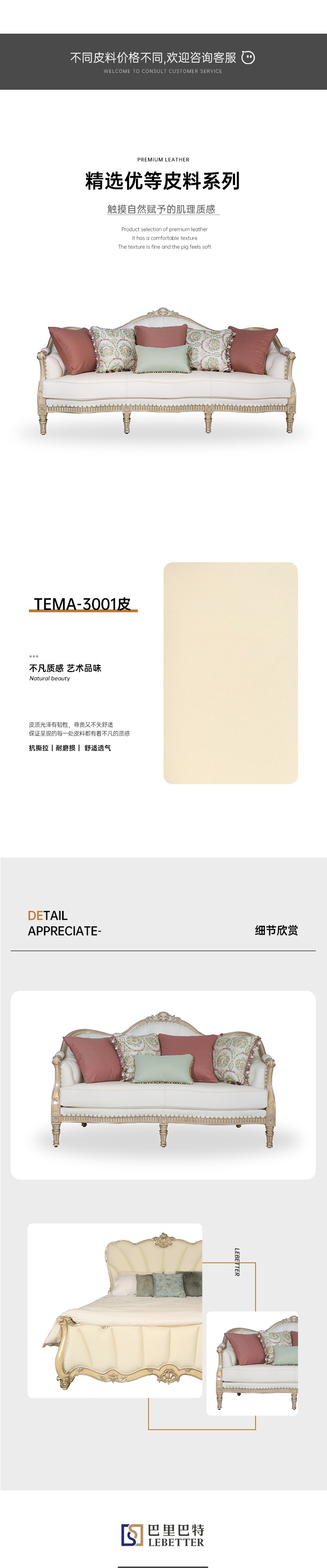TEMA-3001详情.jpg